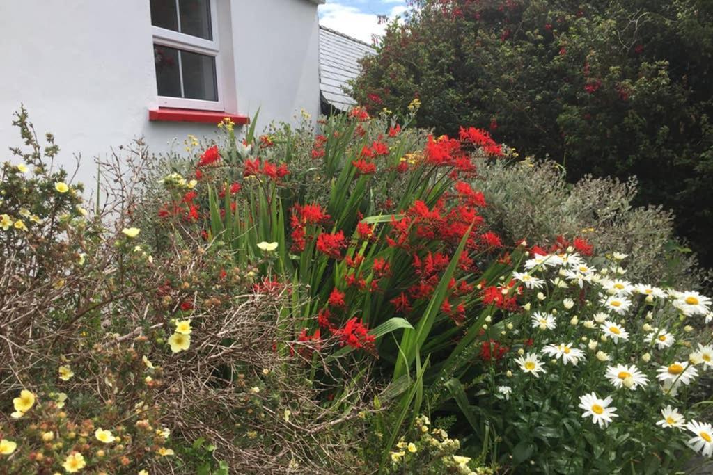 Red Stonecutters Cottage, Doolin Carrowauff 외부 사진